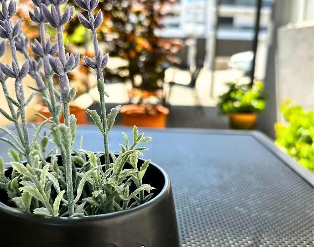 The Martinez House - Задар